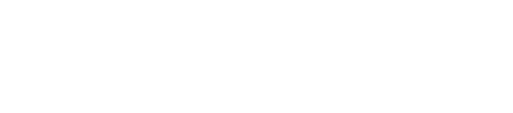 USAHI